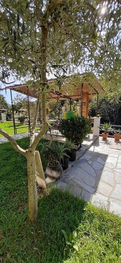 Villa Collina E Mare Camogli Exterior foto